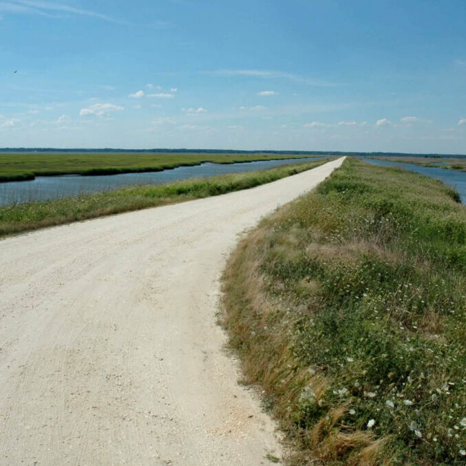 November 21st - Birding Trip to Edwin B. Forsythe National Wildlife Refuge - logo